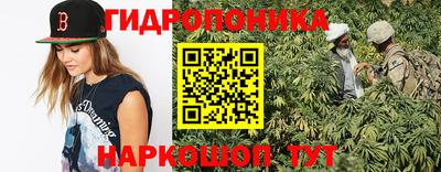 шишки Старая Купавна