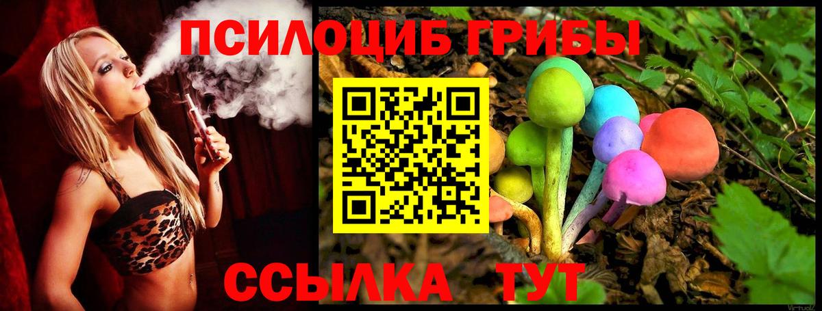 Псилоцибиновые грибы Cubensis Мценск