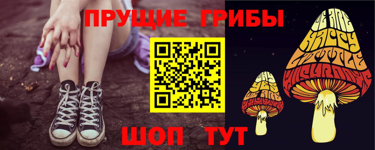 Мценск  Галлюциногенные грибы прущие грибы  Псилоцибиновые грибы MAGIC MUSHROOMS  Вход с VPN 