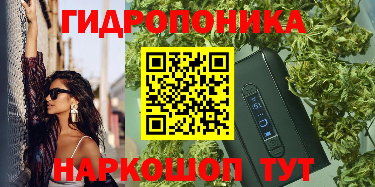 Бошки марихуана гибрид  Вход с VPN  Конопля Bruce Banner  Мценск  Бошки марихуана планчик 